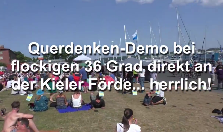 #Querdenken in Kiel | DEMOBERICHT